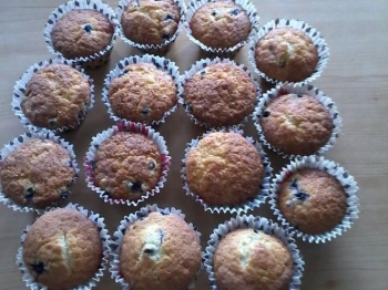 Muffin ai mirtilli